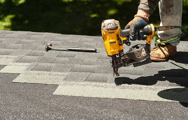 Professional Roofing and repair in North Alamo, TX